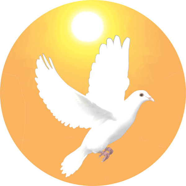 Image of Dove Symbolizing the Holy Spirit